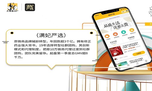 十大社群团购平台3