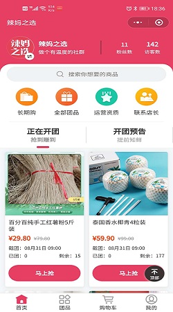 辣妈之选2