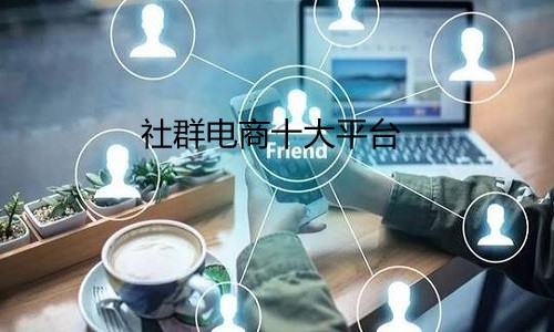 社群电商十大平台