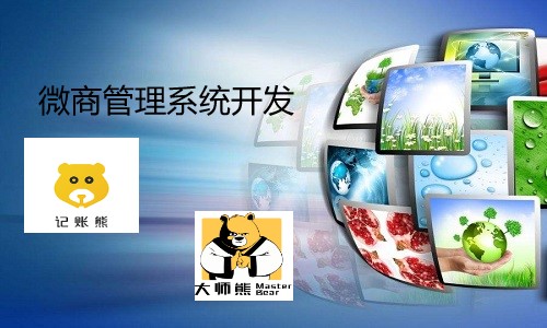 微商管理系统开发的价格