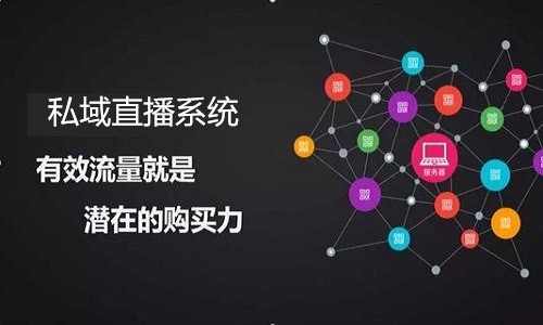 私域流量变现模式，私域直播系统