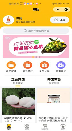 燃购：商城团购系统-社群直播带货系统案例1