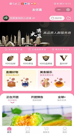 友优荟:社群系统-社群团购商城系统案例1
