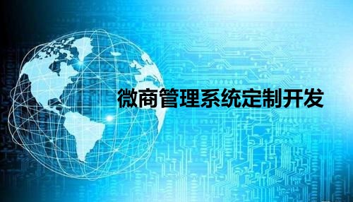 微商管理系统定制开发哪家好