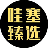 哇塞臻选logo