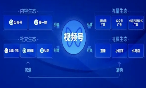 抓住2024年视频号直播风口，私域电商助力商家腾飞